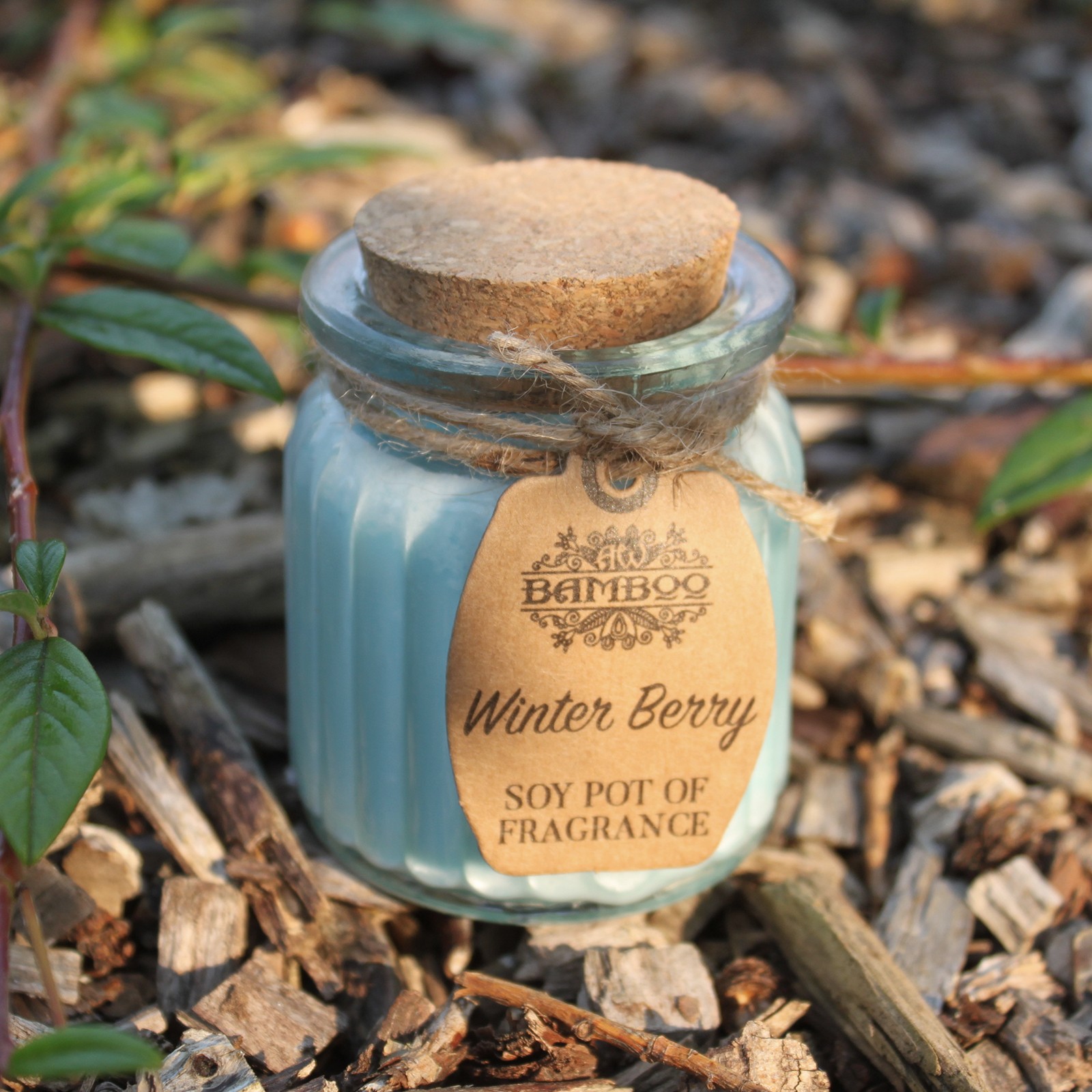 Berry Soy Pot Candle