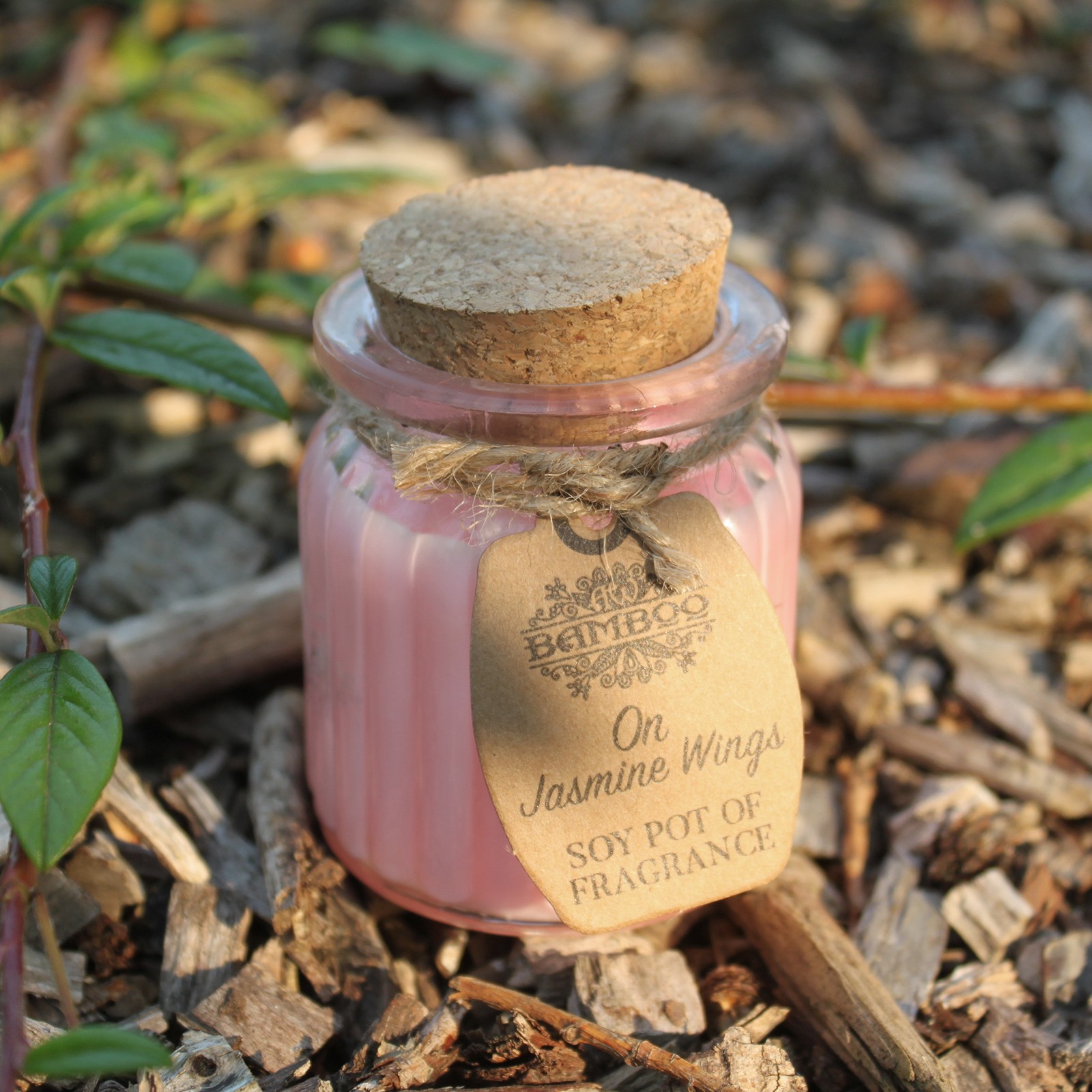 Jasmine Soy Pot Candle