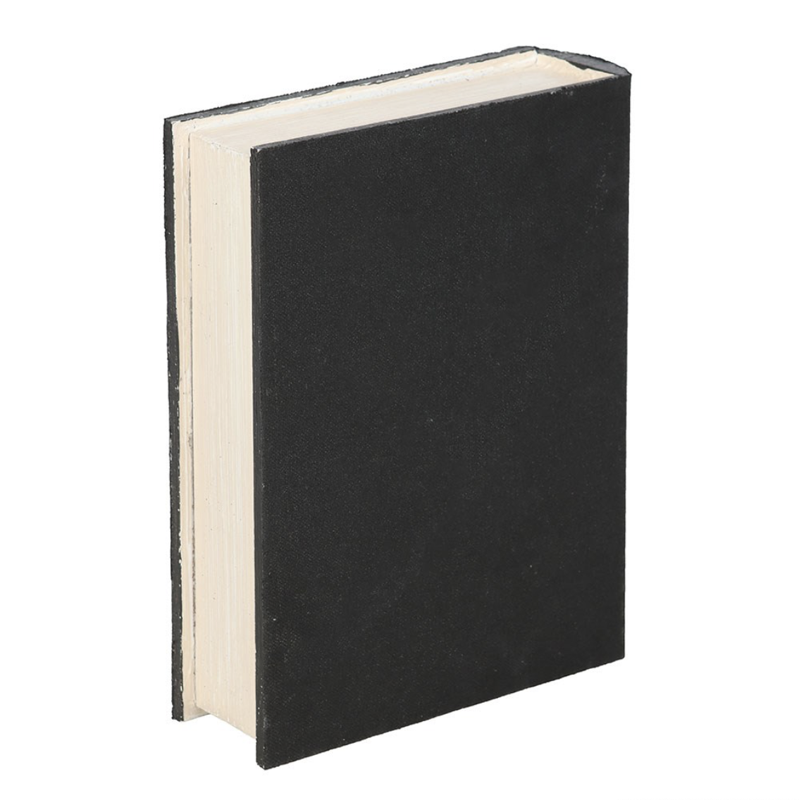 Raven Book Storage Box - Image 3