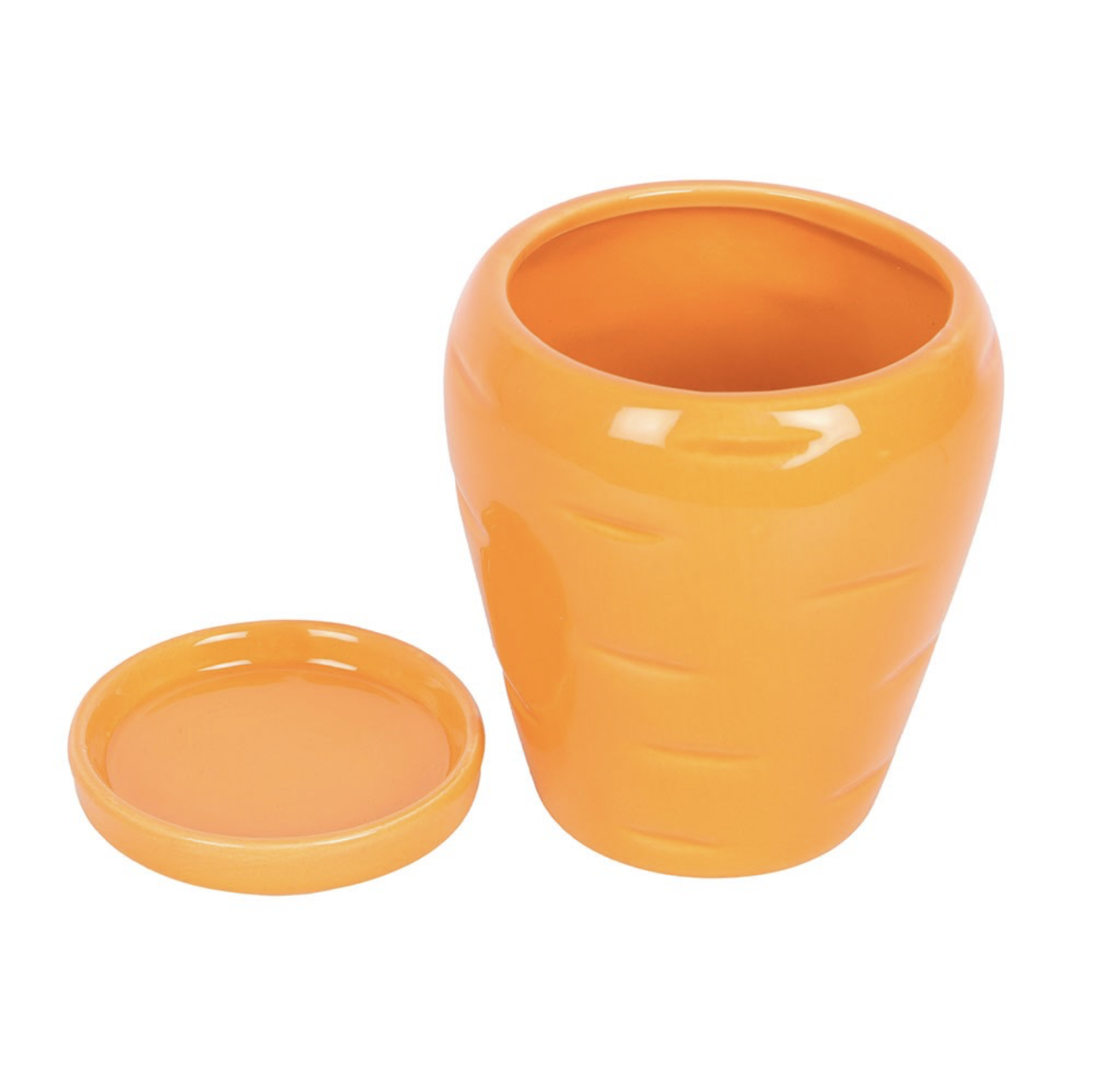 Carrot Plant Pot & Seed - Image 3