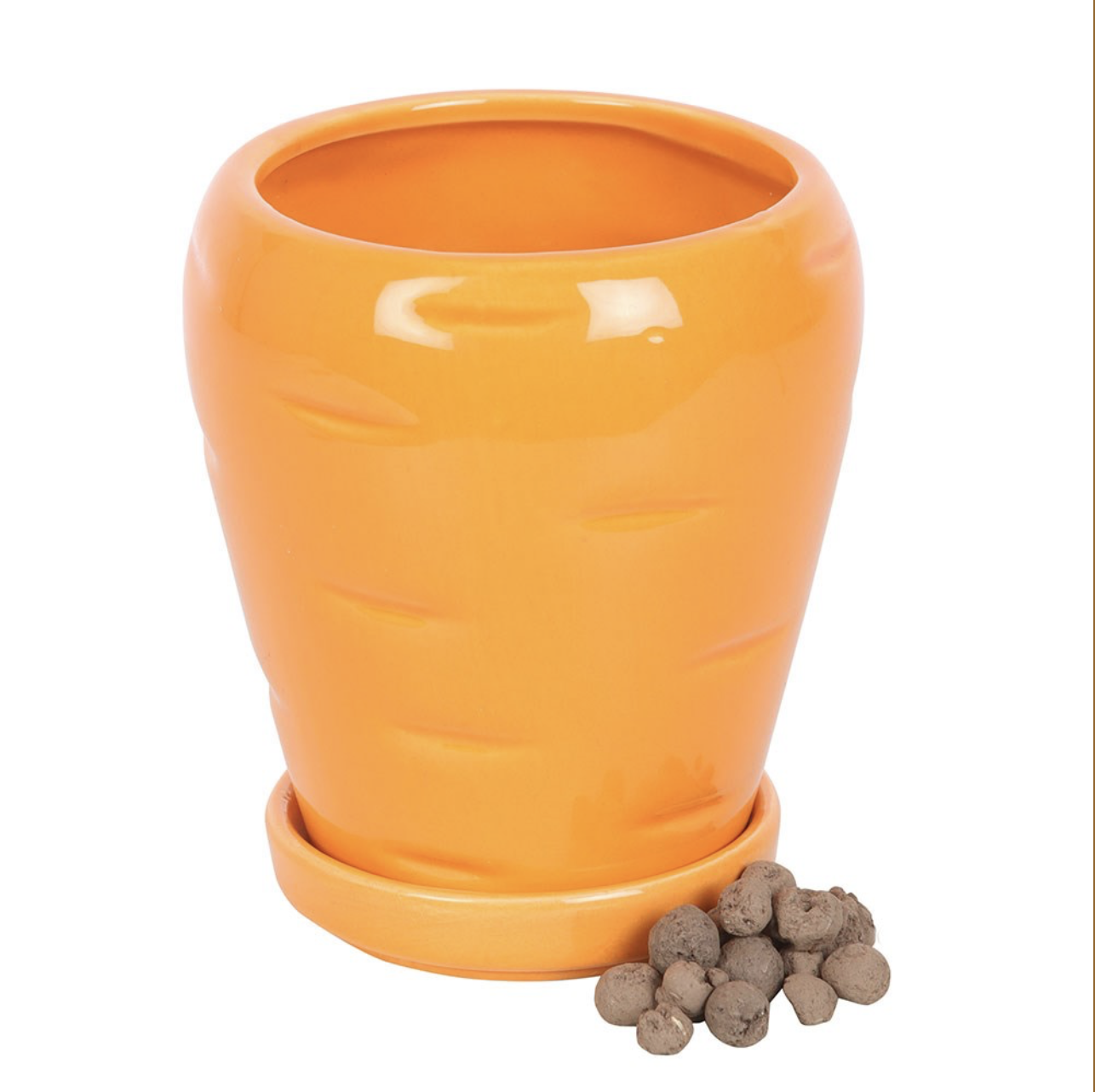 Carrot Plant Pot & Seed - Image 2