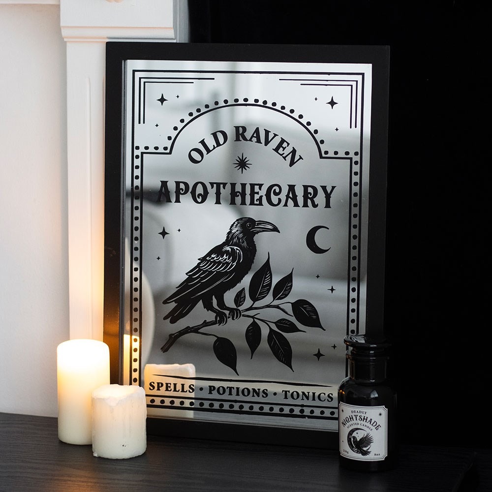 Raven Mirrored Wall Art