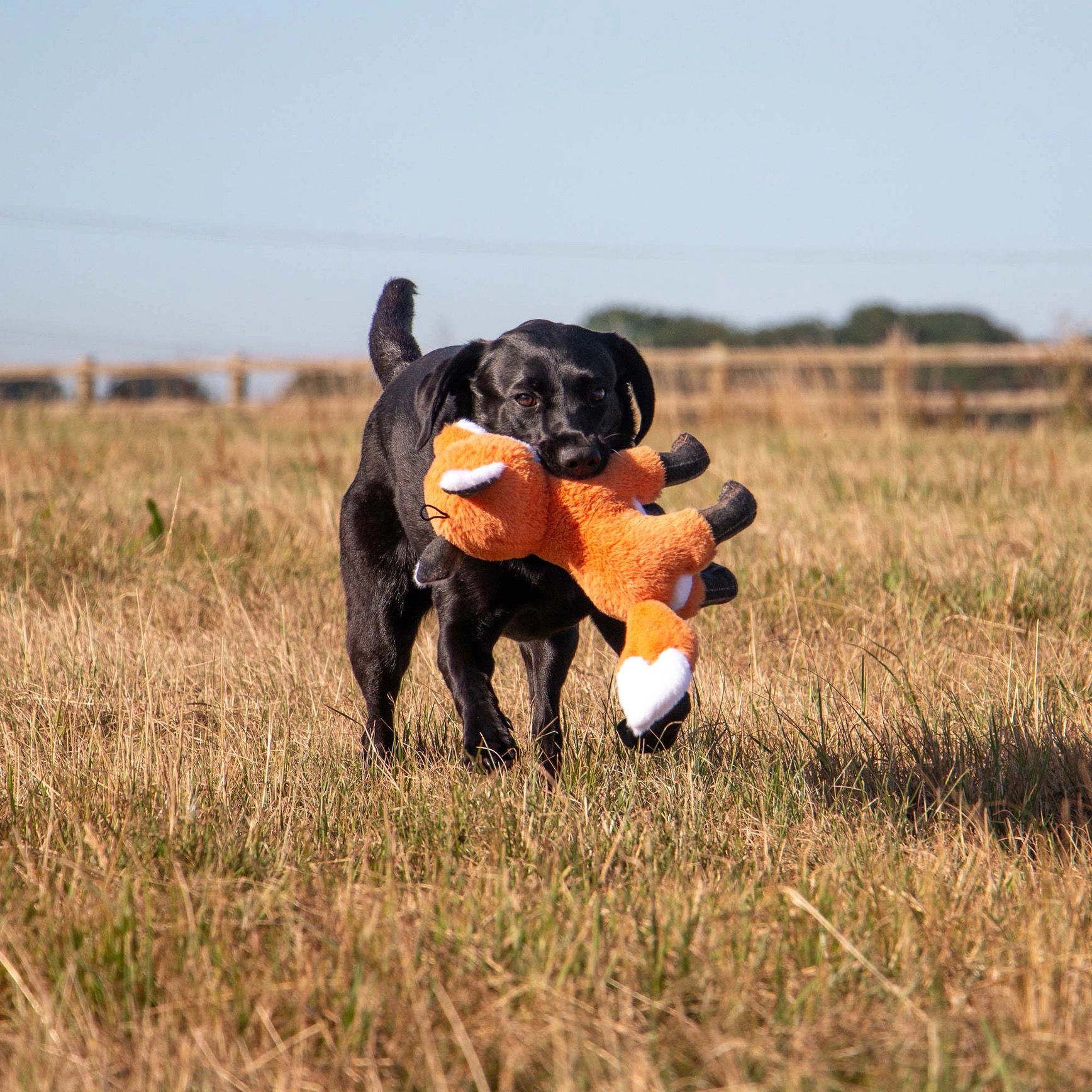Fox Dog Toy - Image 2