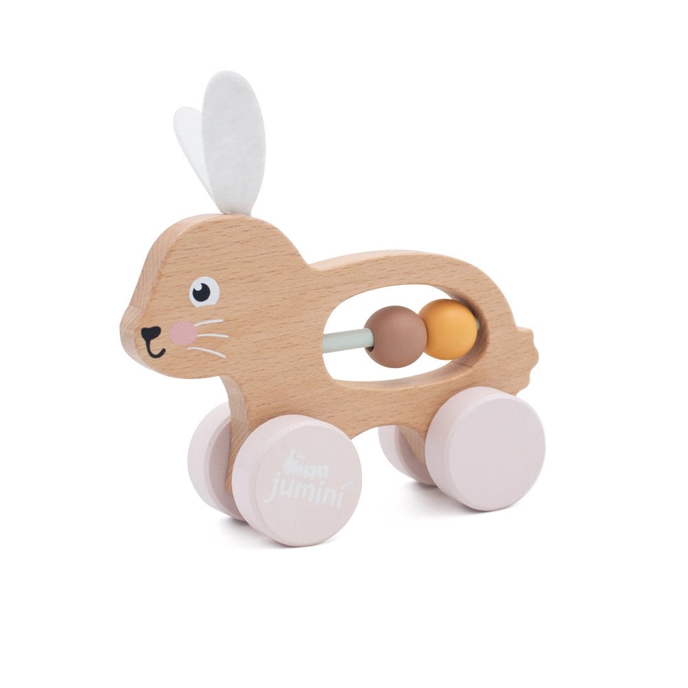 Bunny Push Along