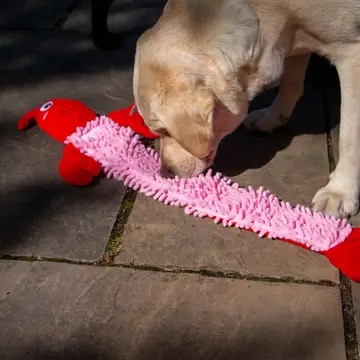 Lobster Dog Toy - Image 2